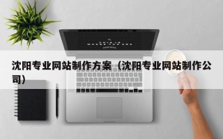 南通沈阳专业网站制作方案（沈阳专业网站制作公司）